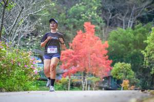 BIB: 8158
                            <button type="button" onclick="openModal(19238942)" class="btn btn-primary btn-sm float-right btn-popup" data-toggle="modal" data-target=".modal-high-quality">
                        <i class="fas fa-shopping-cart"></i> Add to Cart
                    </button>
                                            <button type="button" onclick="isThisMe(19238942, true)" class="btn btn-success btn-sm float-right btn-popup btn-isme hidden" data-toggle="tooltip" data-placement="bottom" title="นี่คือรูปของคุณใช่ไหม คลิกที่นี่เพื่อเอาเข้าอัลบั้ม">
                        <i class="fas fa-plus"></i> Add to album
                    </button>
                    <button type="button" onclick="isThisMe(19238942, false)" class="btn btn-warning btn-sm float-right btn-popup btn-isnotme hidden">
                        <i class="fas fa-ban"></i> Remove from album
                    </button>